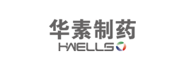 海南华素医药营销有限公司